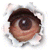 ������ ��� MagicMax