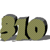 ������ ��� 310