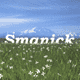 ������ ��� Smanick