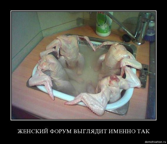 no comment